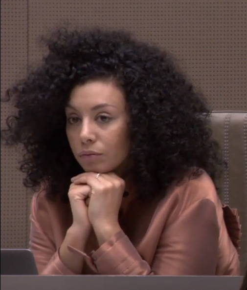 Sihame El Kaouakibi in het Vlaams Parlement